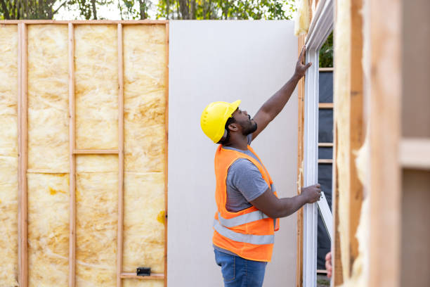 Best Attic Insulation Installation  in Somers, MT